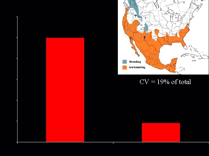 American Pipit 600 Birds/100 hrs 500 400 300 CV = 19% of total 200