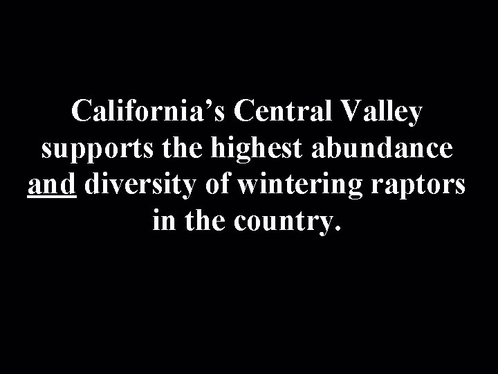 California’s Central Valley supports the highest abundance and diversity of wintering raptors in the