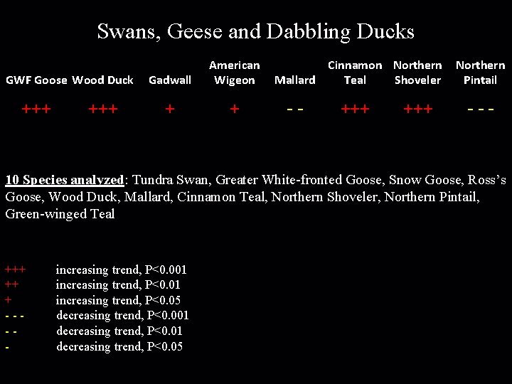 Swans, Geese and Dabbling Ducks GWF Goose Wood Duck +++ Gadwall American Wigeon +