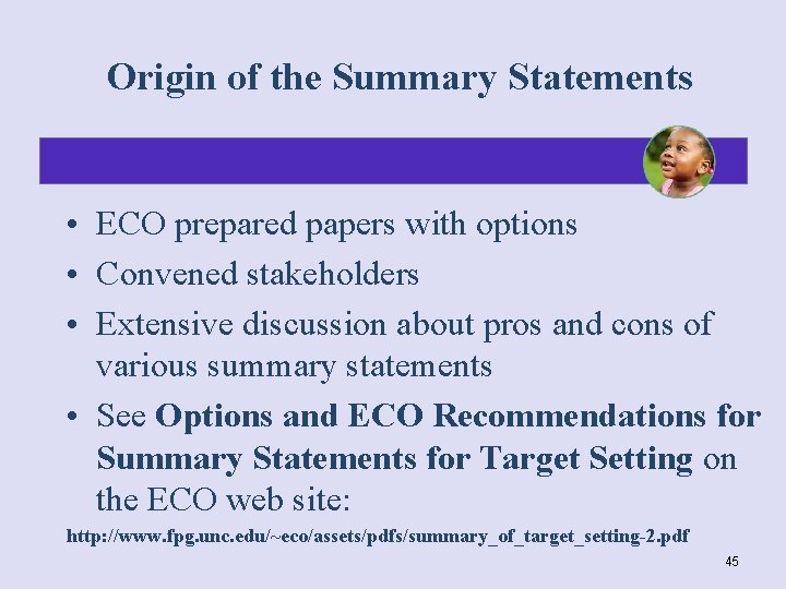 Origin of the Summary Statements • ECO prepared papers with options • Convened stakeholders