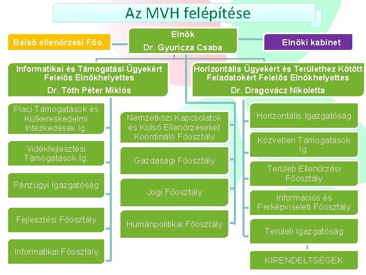 Az MVH felépítése Belső ellenőrzési Főo. Elnök Dr. Gyuricza Csaba Informatikai és Támogatási Ügyekért