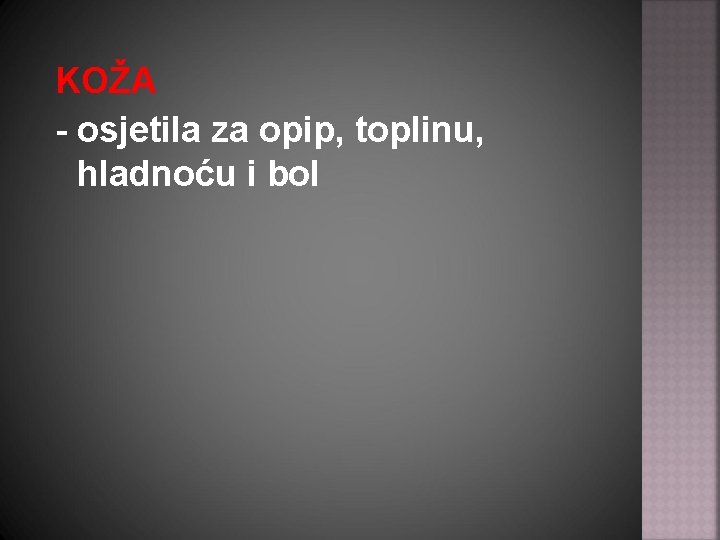 KOŽA - osjetila za opip, toplinu, hladnoću i bol 