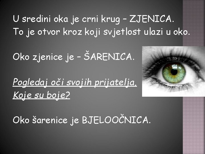 U sredini oka je crni krug – ZJENICA. To je otvor kroz koji svjetlost