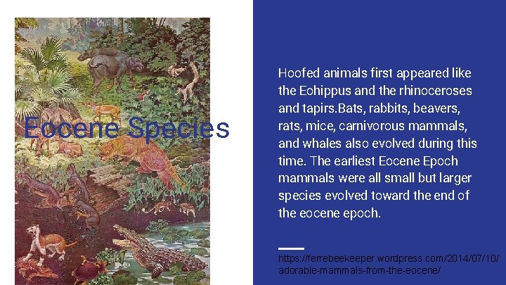 Eocene Species Hoofed animals first appeared like the Eohippus and the rhinoceroses and tapirs. Eocene Species Hoofed animals first appeared like the Eohippus and the rhinoceroses and tapirs.