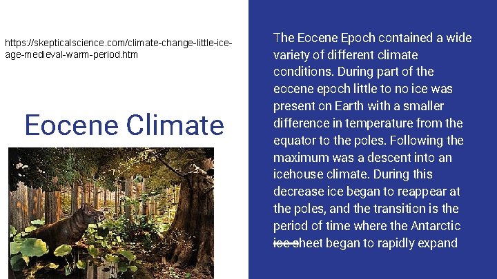 https: //skepticalscience. com/climate-change-little-iceage-medieval-warm-period. htm Eocene Climate The Eocene Epoch contained a wide variety of