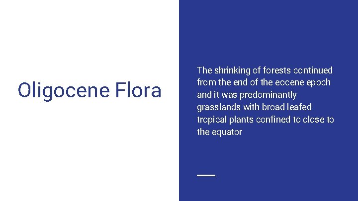 Oligocene Flora The shrinking of forests continued from the end of the eocene epoch