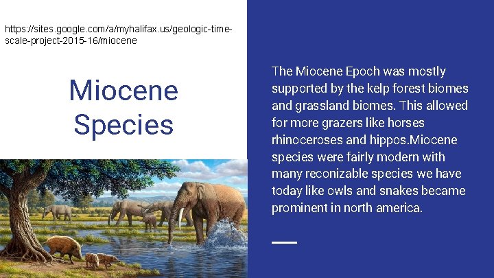 https: //sites. google. com/a/myhalifax. us/geologic-timescale-project-2015 -16/miocene Miocene Species The Miocene Epoch was mostly supported