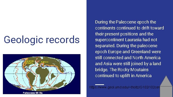 Geologic records During the Paleocene epoch the continents continued to drift toward their present