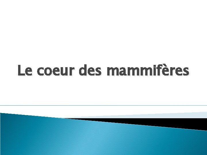 Le coeur des mammifères 