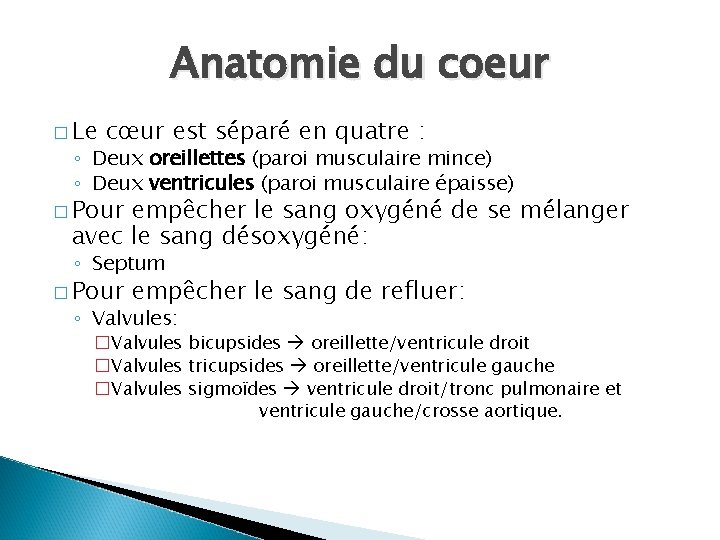 Anatomie du coeur � Le cœur est séparé en quatre : ◦ Deux oreillettes