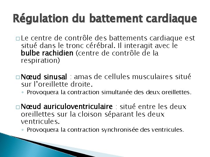 Régulation du battement cardiaque � Le centre de contrôle des battements cardiaque est situé