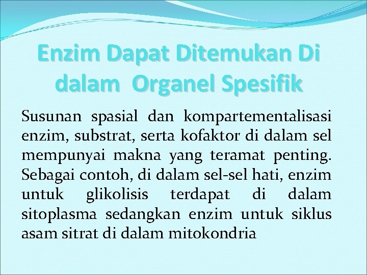 Enzim Dapat Ditemukan Di dalam Organel Spesifik Susunan spasial dan kompartementalisasi enzim, substrat, serta