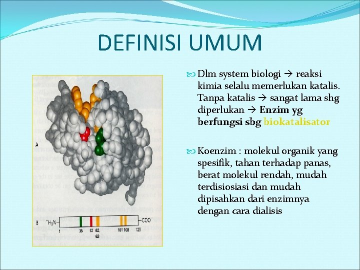 DEFINISI UMUM Dlm system biologi reaksi kimia selalu memerlukan katalis. Tanpa katalis sangat lama