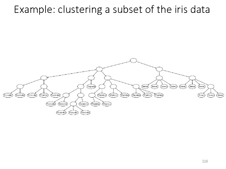 Example: clustering a subset of the iris data 116 