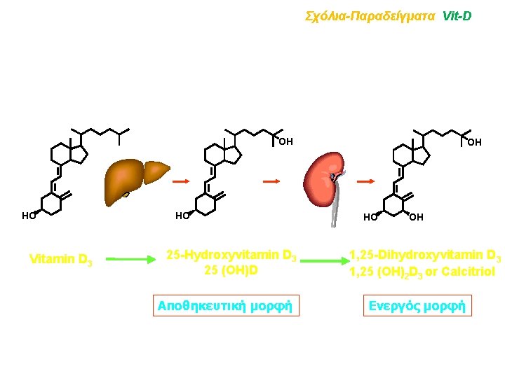 Σχόλια-Παραδείγματα Vit-D OH HO Vitamin D 3 HO 25 -Hydroxyvitamin D 3 25 (OH)D
