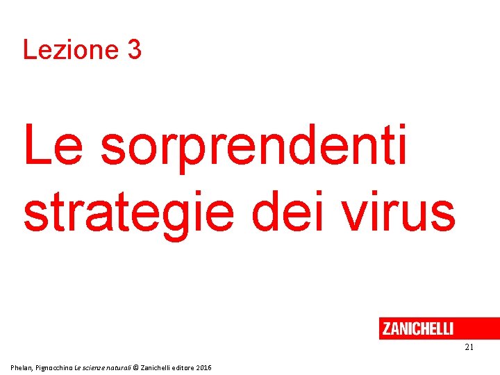 Lezione 3 Le sorprendenti strategie dei virus 21 Phelan, Pignocchino Le scienze naturali ©