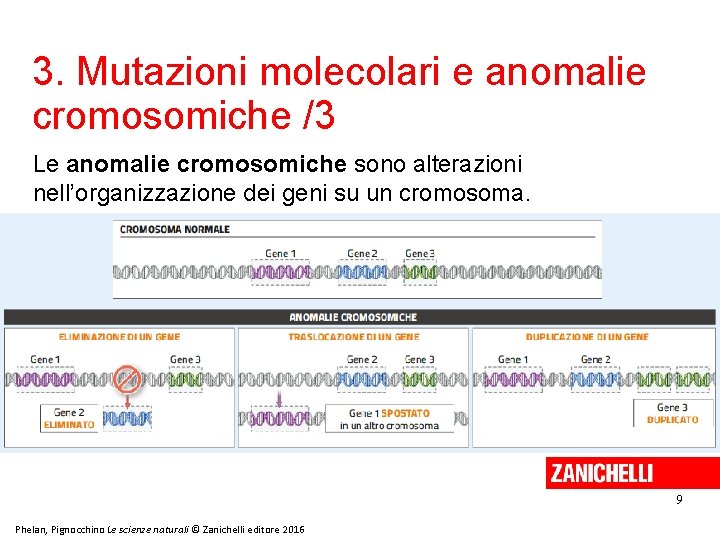 3. Mutazioni molecolari e anomalie cromosomiche /3 Le anomalie cromosomiche sono alterazioni nell’organizzazione dei