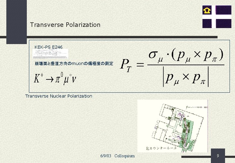 Transverse Polarization KEK-PS E 246 崩壊面と垂直方向のmuonの偏極度の測定 Transverse Nuclear Polarization 6/9/03 Colloquium 9 