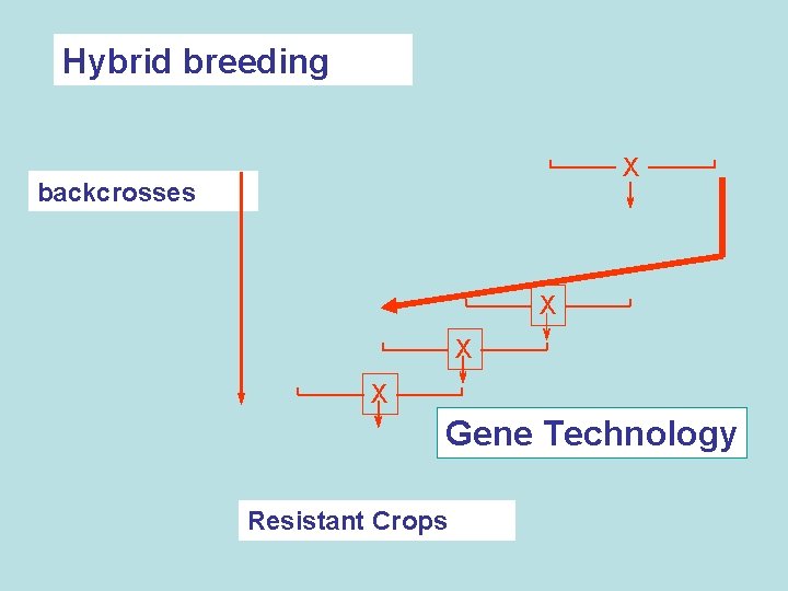 Hybrid breeding X backcrosses X X X Gene Technology Resistant Crops 