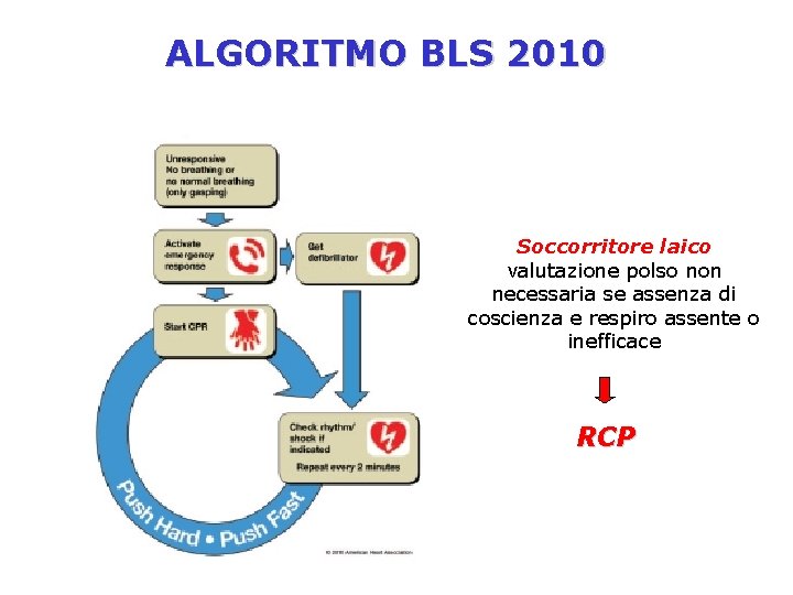 ALGORITMO BLS 2010 Soccorritore laico valutazione polso non necessaria se assenza di coscienza e
