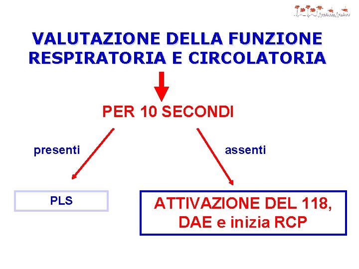 VALUTAZIONE DELLA FUNZIONE RESPIRATORIA E CIRCOLATORIA PER 10 SECONDI presenti PLS assenti ATTIVAZIONE DEL