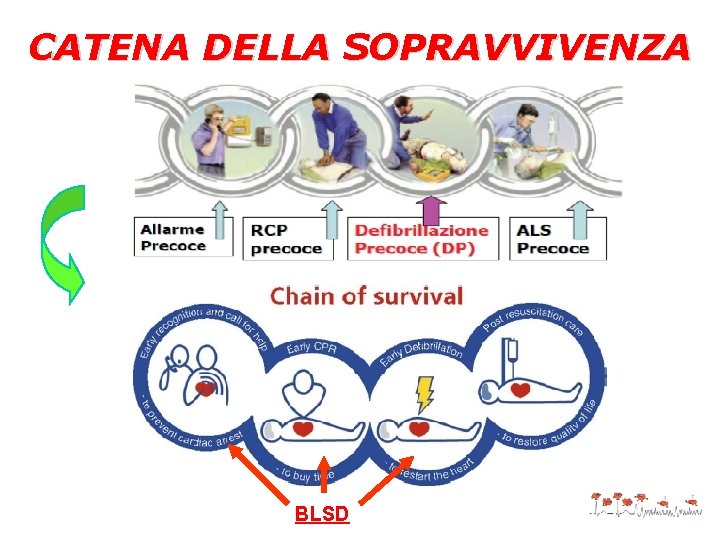 CATENA DELLA SOPRAVVIVENZA BLSD 