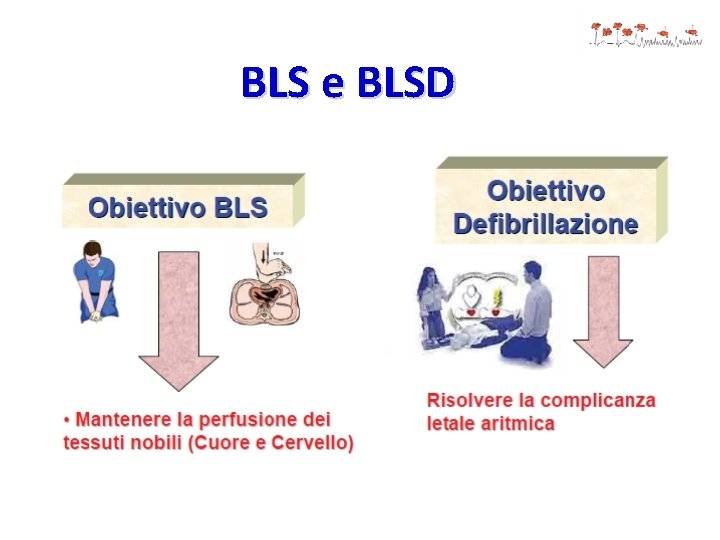 BLS e BLSD 