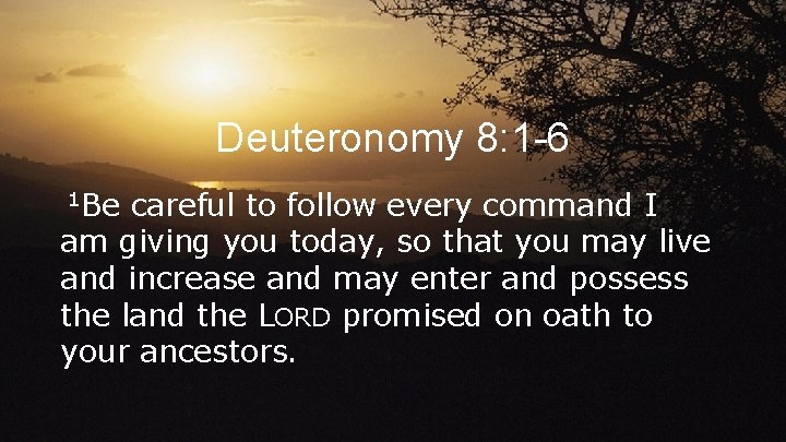 Deuteronomy 8: 1 -6 1 Be careful to follow every command I am giving