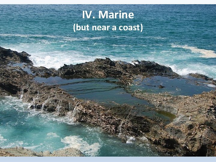 IV. Marine (but near a coast) 