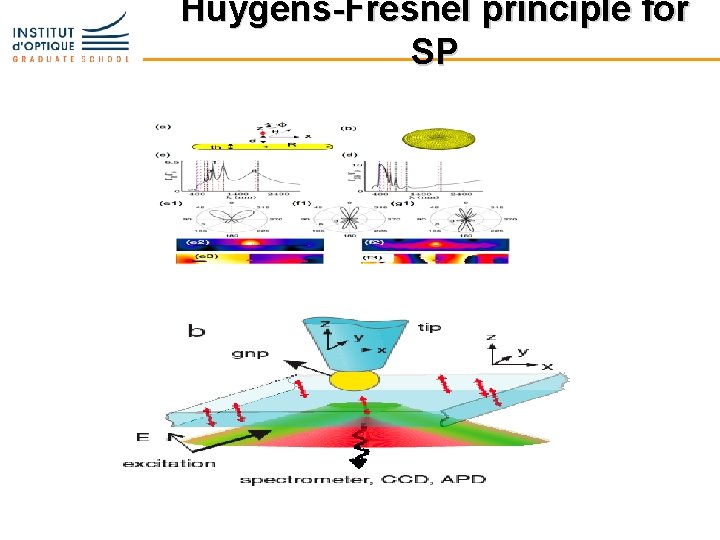 Huygens-Fresnel principle for SP 