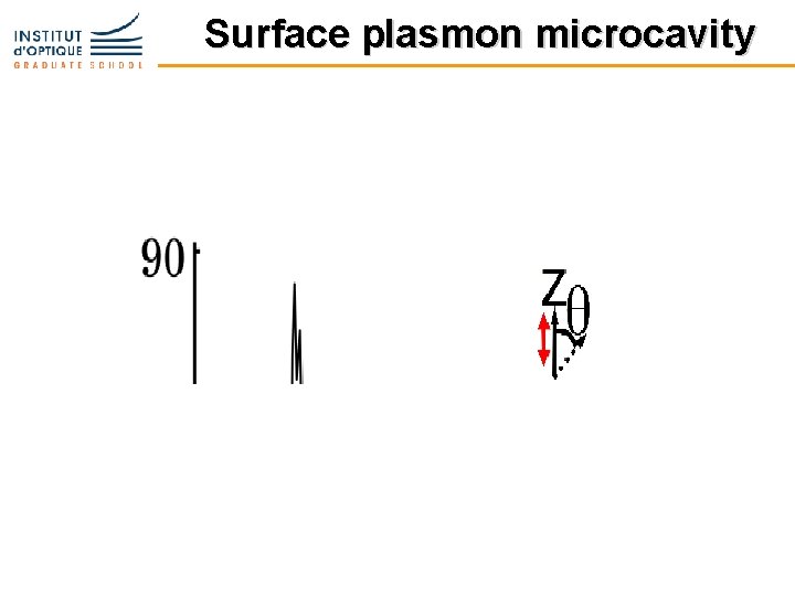 Surface plasmon microcavity 