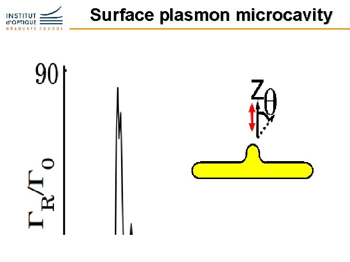 Surface plasmon microcavity 