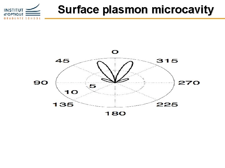 Surface plasmon microcavity 