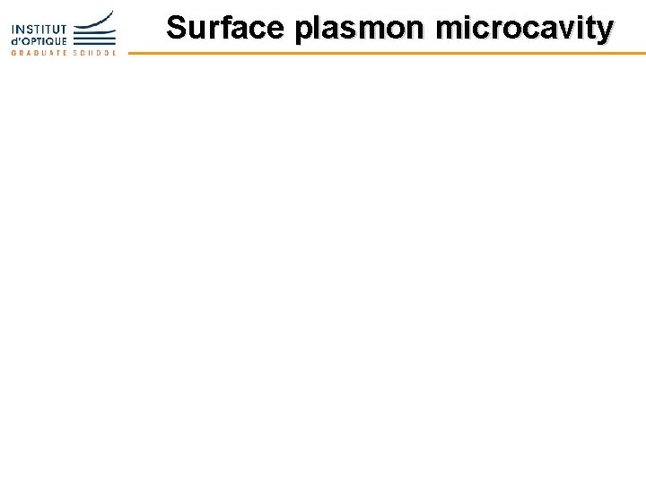 Surface plasmon microcavity 