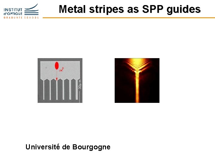 Metal stripes as SPP guides Université de Bourgogne 