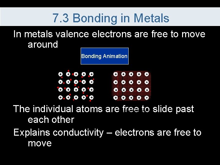 7. 3 Bonding in Metals In metals valence electrons are free to move around