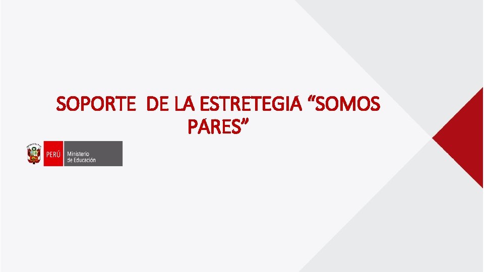 SOPORTE DE LA ESTRETEGIA “SOMOS PARES” 