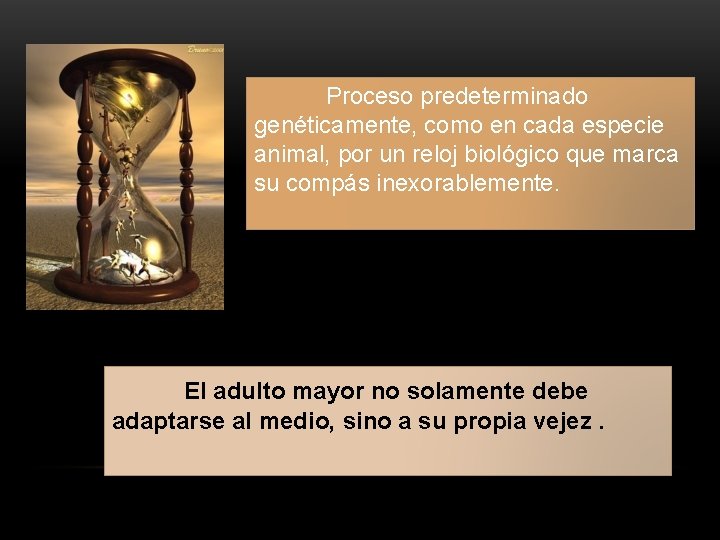 Proceso predeterminado genéticamente, como en cada especie animal, por un reloj biológico que marca