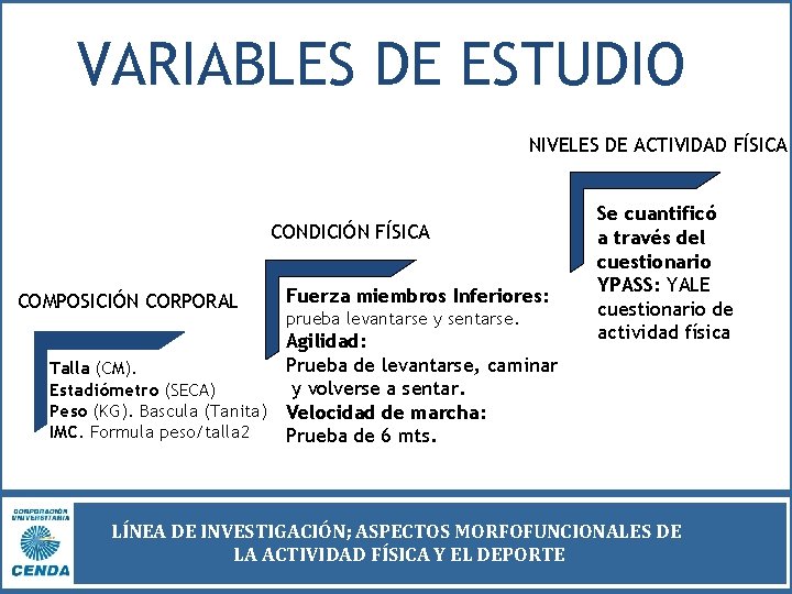 VARIABLES DE ESTUDIO NIVELES DE ACTIVIDAD FÍSICA CONDICIÓN FÍSICA COMPOSICIÓN CORPORAL Fuerza miembros Inferiores:
