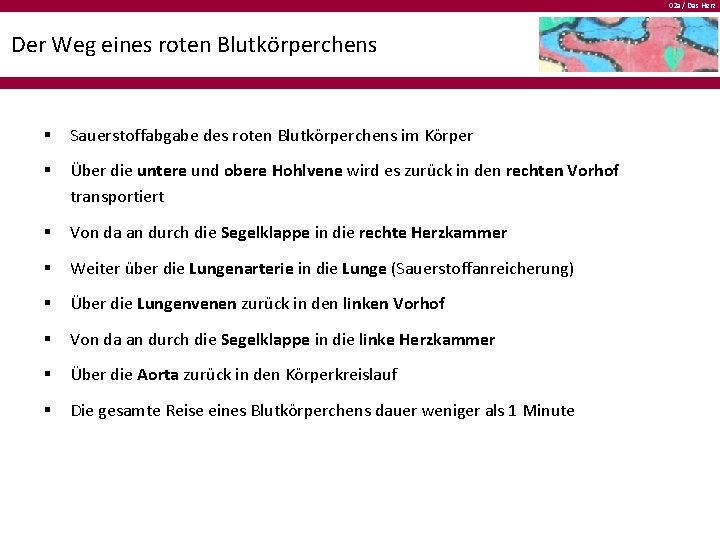 02 a / Das Herz Der Weg eines roten Blutkörperchens § Sauerstoffabgabe des roten