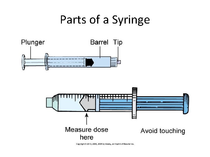 Parts of a Syringe 