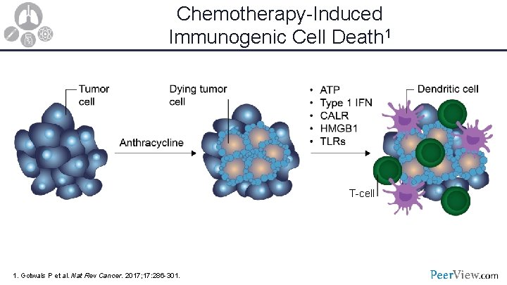 Chemotherapy-Induced Immunogenic Cell Death 1 T-cell 1. Gotwals P et al. Nat Rev Cancer.