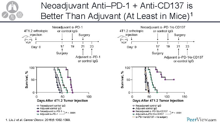 Neoadjuvant Anti–PD-1 + Anti-CD 137 is Better Than Adjuvant (At Least in Mice)1 1.