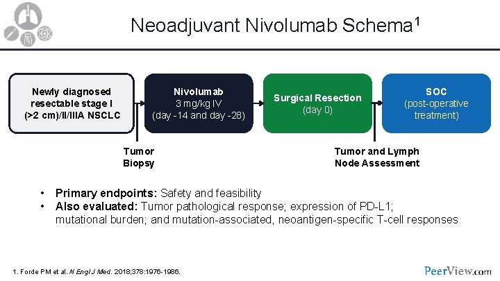 Neoadjuvant Nivolumab Schema 1 Newly diagnosed resectable stage I (>2 cm)/II/IIIA NSCLC Nivolumab 3