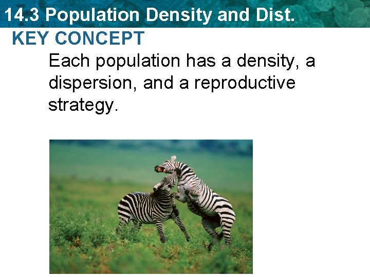 14. 3 Population Density and Dist. KEY CONCEPT Each population has a density, a
