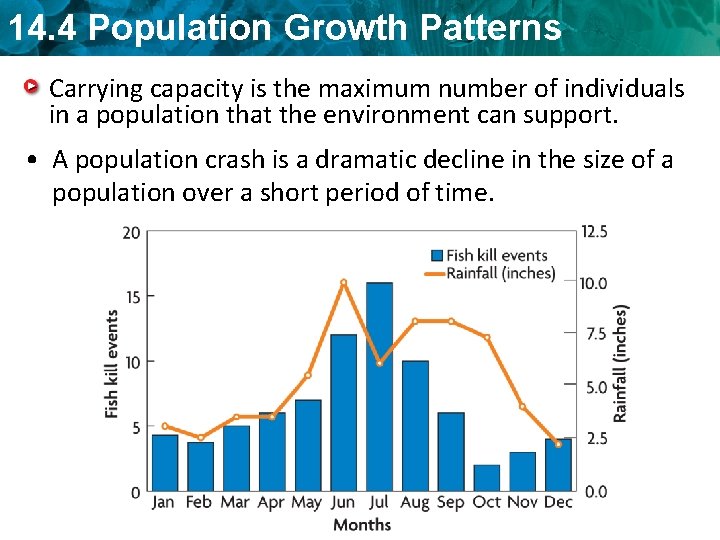 14. 4 Population Growth Patterns Carrying capacity is the maximum number of individuals in