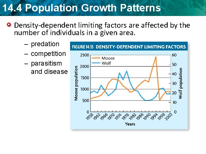 14. 4 Population Growth Patterns Density-dependent limiting factors are affected by the number of