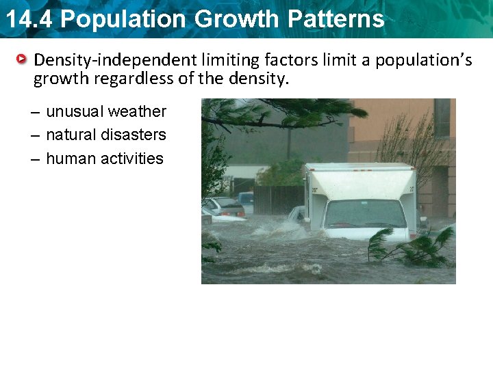 14. 4 Population Growth Patterns Density-independent limiting factors limit a population’s growth regardless of
