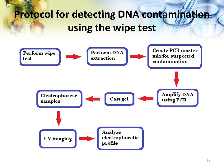 Protocol for detecting DNA contamination using the wipe test 19 