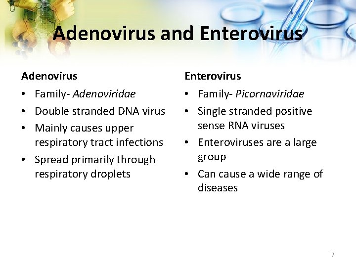 Adenovirus and Enterovirus Adenovirus Enterovirus • Family- Adenoviridae • Double stranded DNA virus •